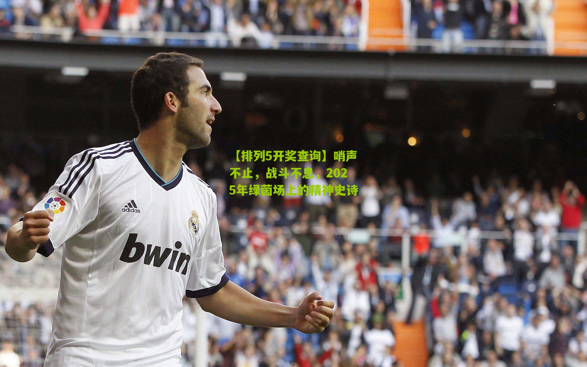 哨声不止，战斗不息，2025年绿茵场上的精神史诗