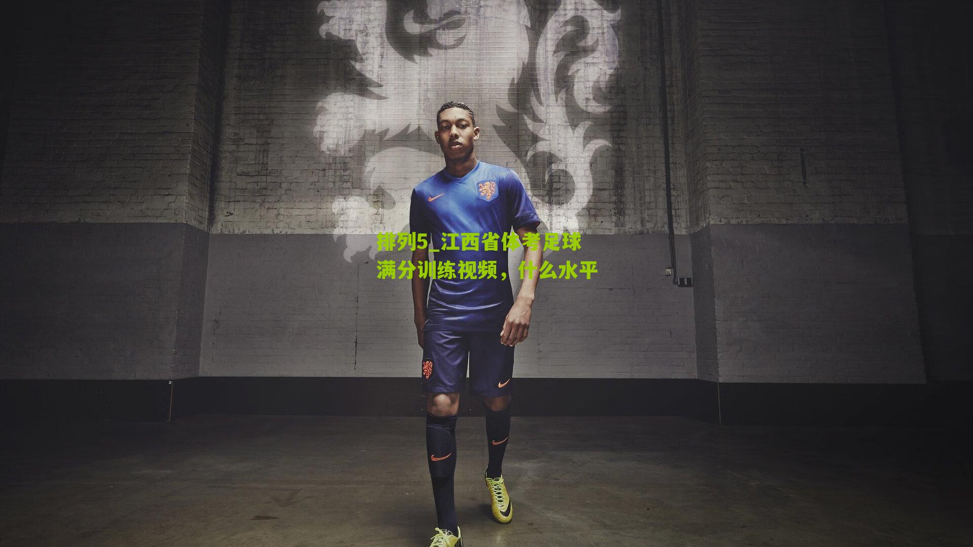 江西省体考足球满分训练视频，什么水平