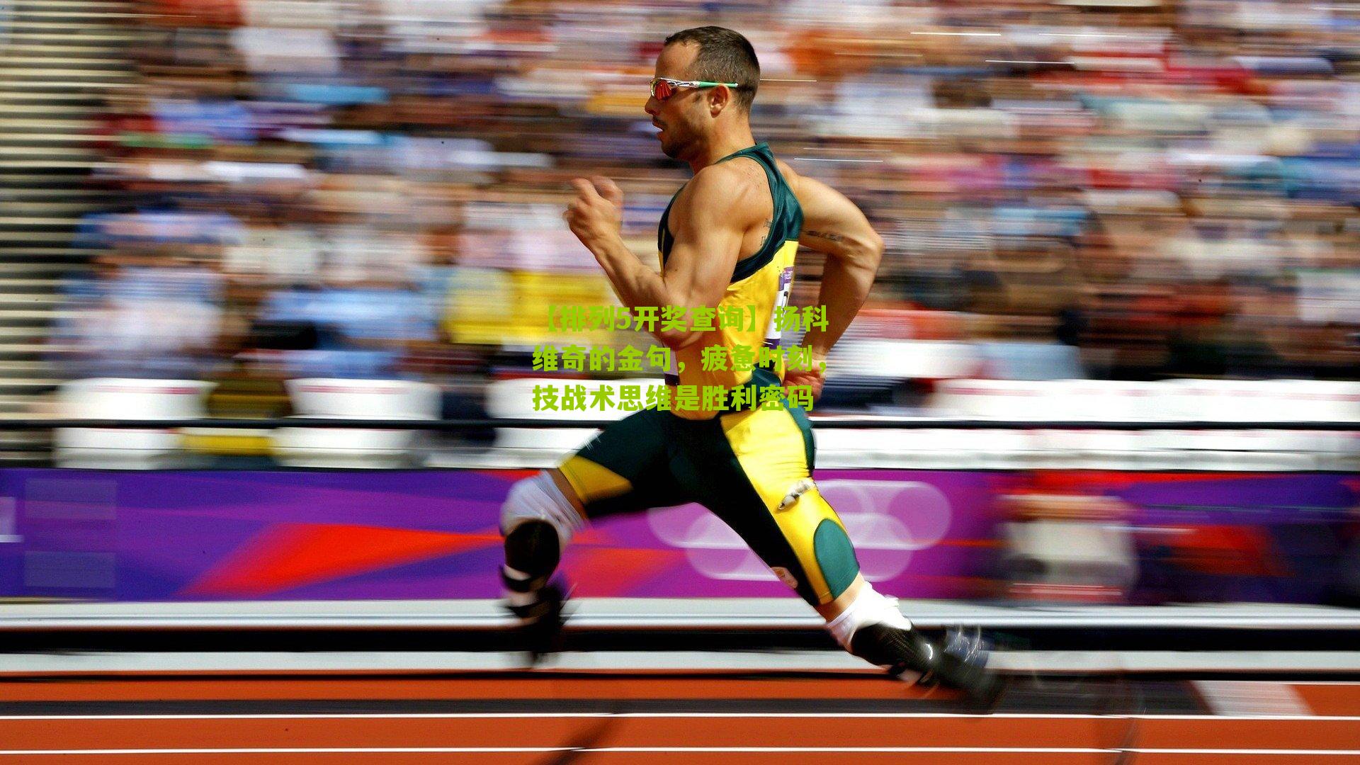 扬科维奇的金句,疲惫时刻,技战术思维是胜利密码